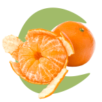 CLEMENTINE 1